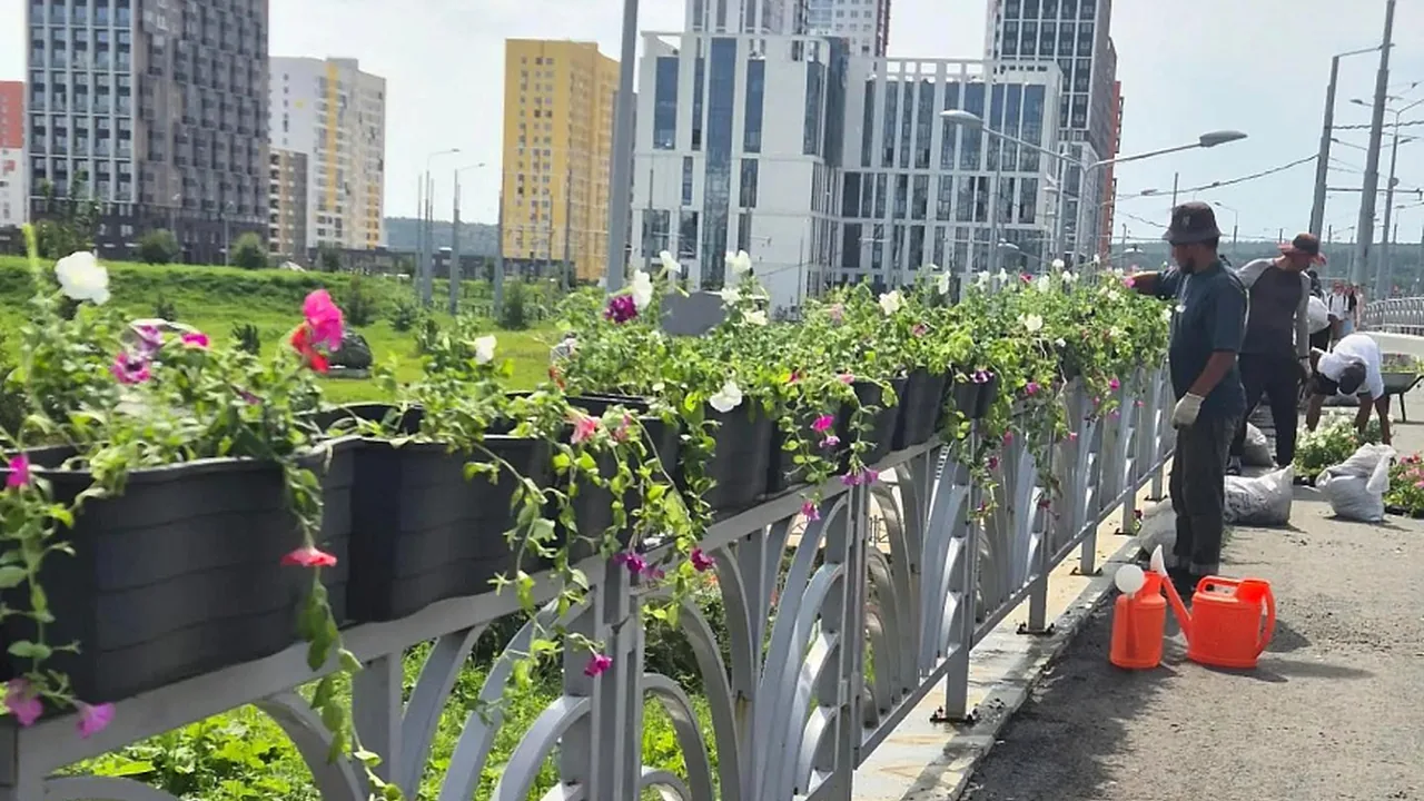 Мост через Патрушиху украсили цветами ко Дню города (ФОТО)
